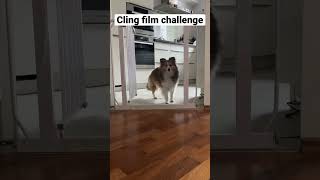 Daisy Trying The Cling Film Challenge