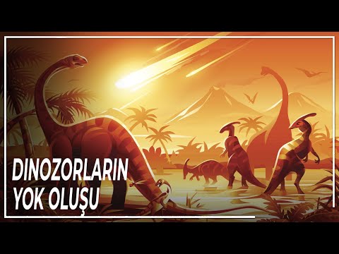 Video: Buz kesici 