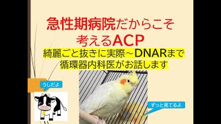 急性期病院だからこそ考えるべきACP(実際からDNARまで循環器内科医が解説します)