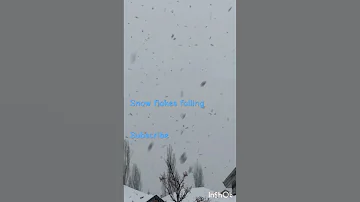 Fresh Snowfall Snow Flakes Amazing Mother Nature Music Slow SteadyMusician Ahmed Sirour 