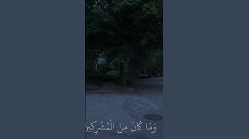 اكتب شيء تؤجر عليه 🤍 - - القارئ | جابر القيطان سورة | الأنعام ـــــــــــــــــــــــــــــــــــــ