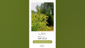 " أفمن شرح الله صدره للإسلام " || بأداء خلاب وآسر يرتلها القارئ خالد المسروري