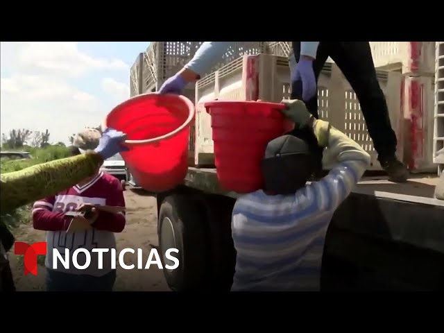 Los mexicanos que emigran a EE.UU. por mejores oportunidades aumentaron | Noticias Telemundo