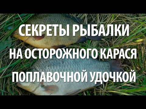 чувствительная снасть на осторожного карася