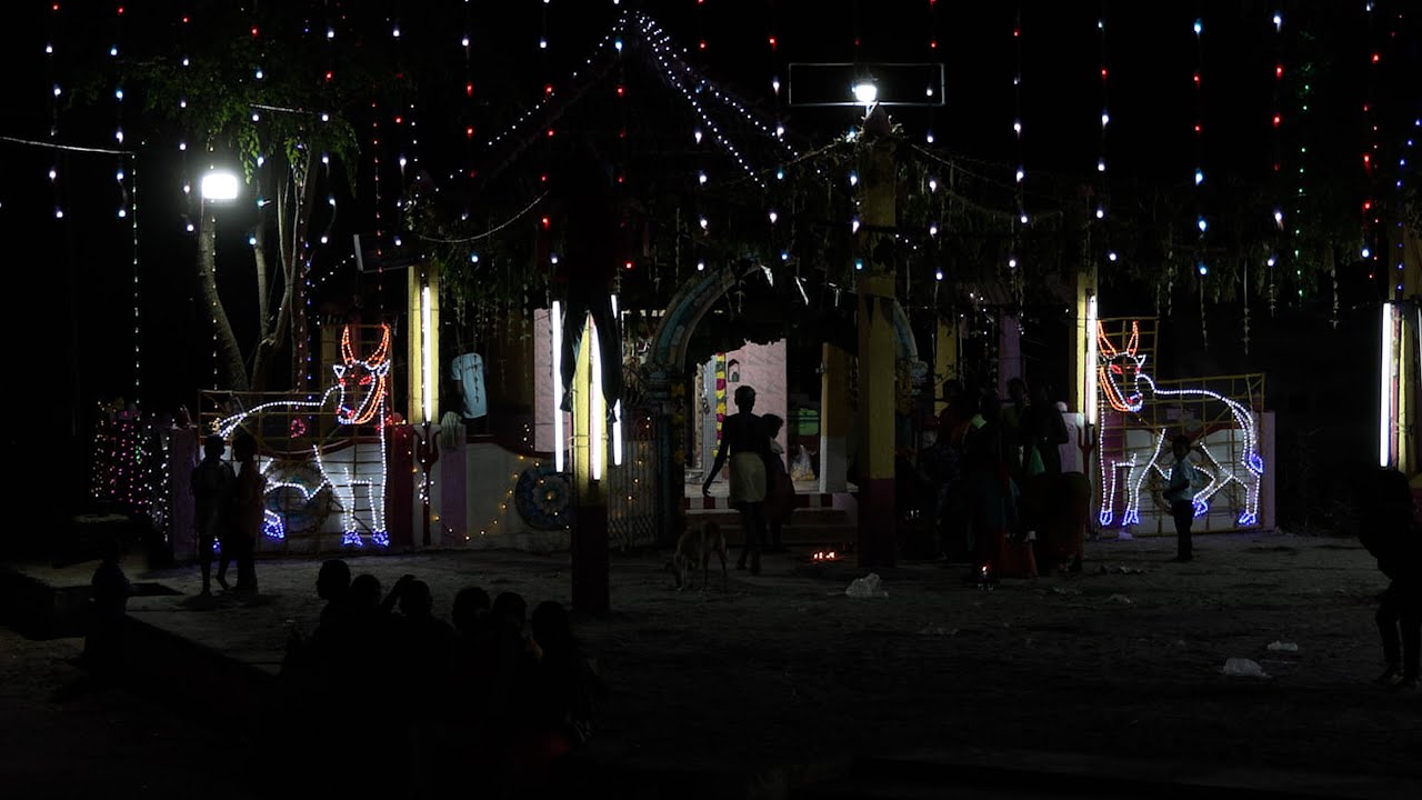 Canon XF605 Camcorder Filming at Night, low light Tamilnadu