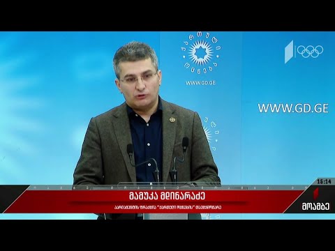 მამუკა მდინარაძის განცხადება - გამოხმაურება