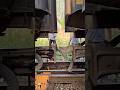 【海外鉄道】連結　トミーのスーパーレールみたいな連結器#電車 #鉄道 #train