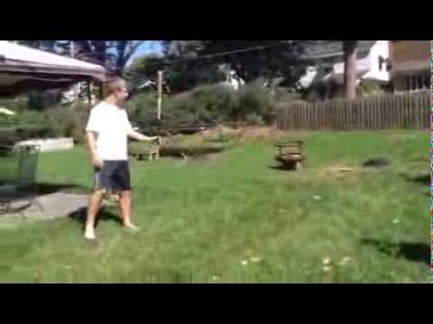 Pumpkin Smashing