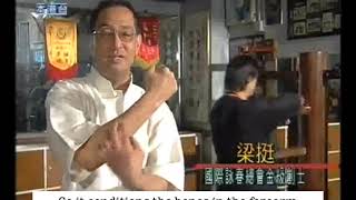 Leung Ting on arm conditioning with the Wing Tsun wooden dummy (English subtitled)