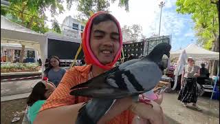 Thailand 2025 Part 2: Happy Songkraaaan!