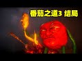 每一个植物都长得出乎意料？《番茄之道3》结局