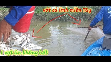ngày đầu tiên đệ tử đi vớt cá linh và kết quả ... /con mước miền Tây/