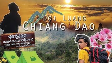 ทะเลหมอก ดอยหลวงเชียงดาว 2021 แบกเป้ขึ้นเขาครั้งแรก สวยสุดๆ | #toodCanfly