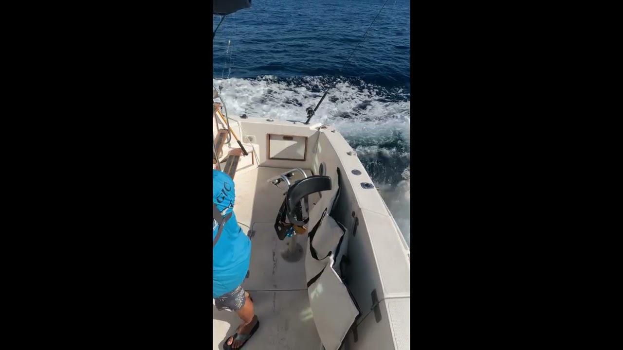 Cabo Fishing Adventure: Hooking a Marlin