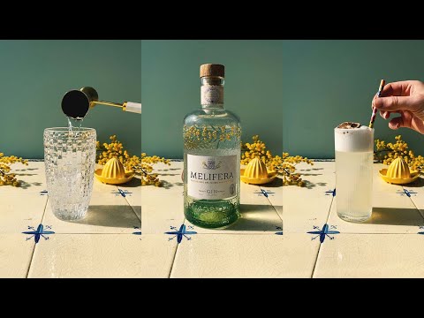 Discovery Gin: Melifera Gin Fizz #Shorts #Cocktails