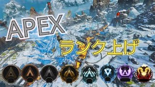 《Apex 》新シーズン楽しむぞー #apex #エーペックス #エペ