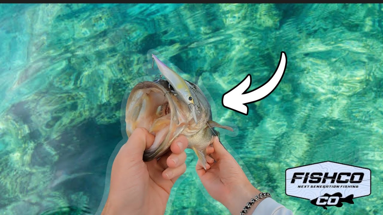 Big bass can’t resist the power of this new Jerkbait!