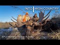Montana Moose Hunting