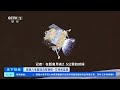 [天下财经]嫦娥六号着陆月背南极-艾特肯盆地 记者直击嫦娥六号“着上组合体”落月过程| 财经风云