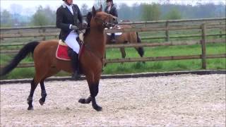 Spoiden Matthieu - Lucky Z 110Cm Gesves Le 27 04 2013