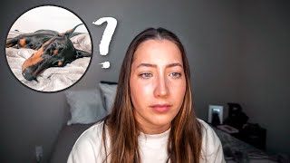 Where Is Sphinx? Brooke Houts Archive