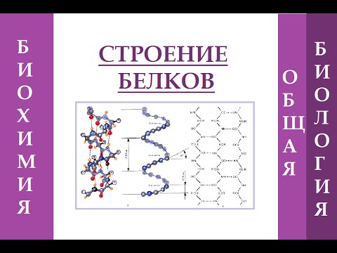 Видео: Предсказание и экспериментальное подтверждение вируса банановой мозаики, кодирующего миРНК и их мишени