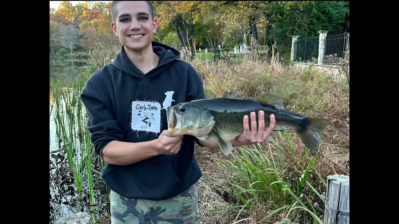 Hello kitty is only 3 apples tall