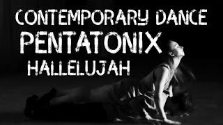 CONTEMPORARY DANCE - HALLELUJAH (PENTATONIX) by 7Dance Studio Choreo by Dmitry Krey