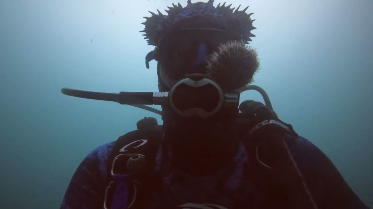 Abyss boat dive  Botany bay sea monsters