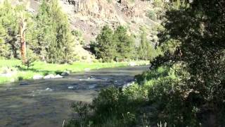 Poison Butte Campground Crooked River mov