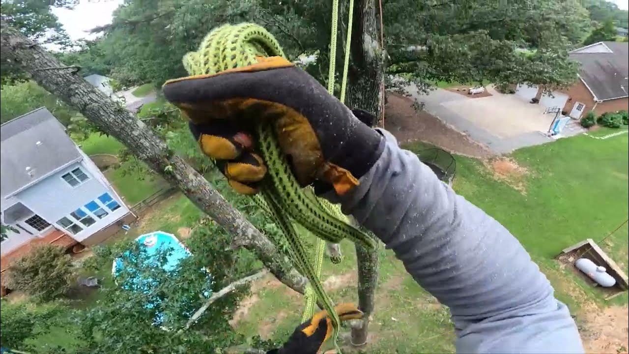 Part 2 Gum Madness Raw footage & decision making Akimbo & Zigzag