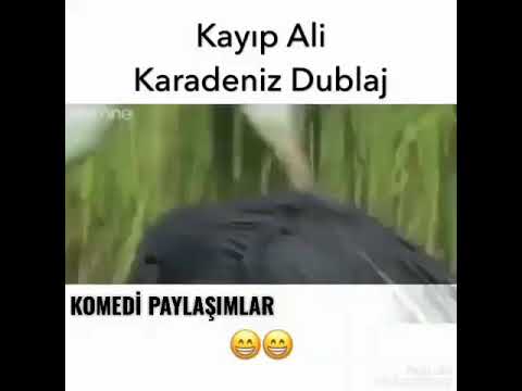 Kayıp ali Karadeniz dublaj kesinlikle izleyin