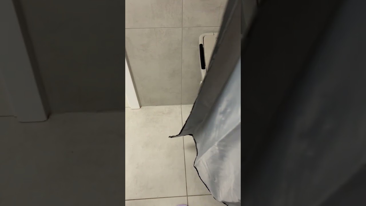 Playful cat vs. shower curtain