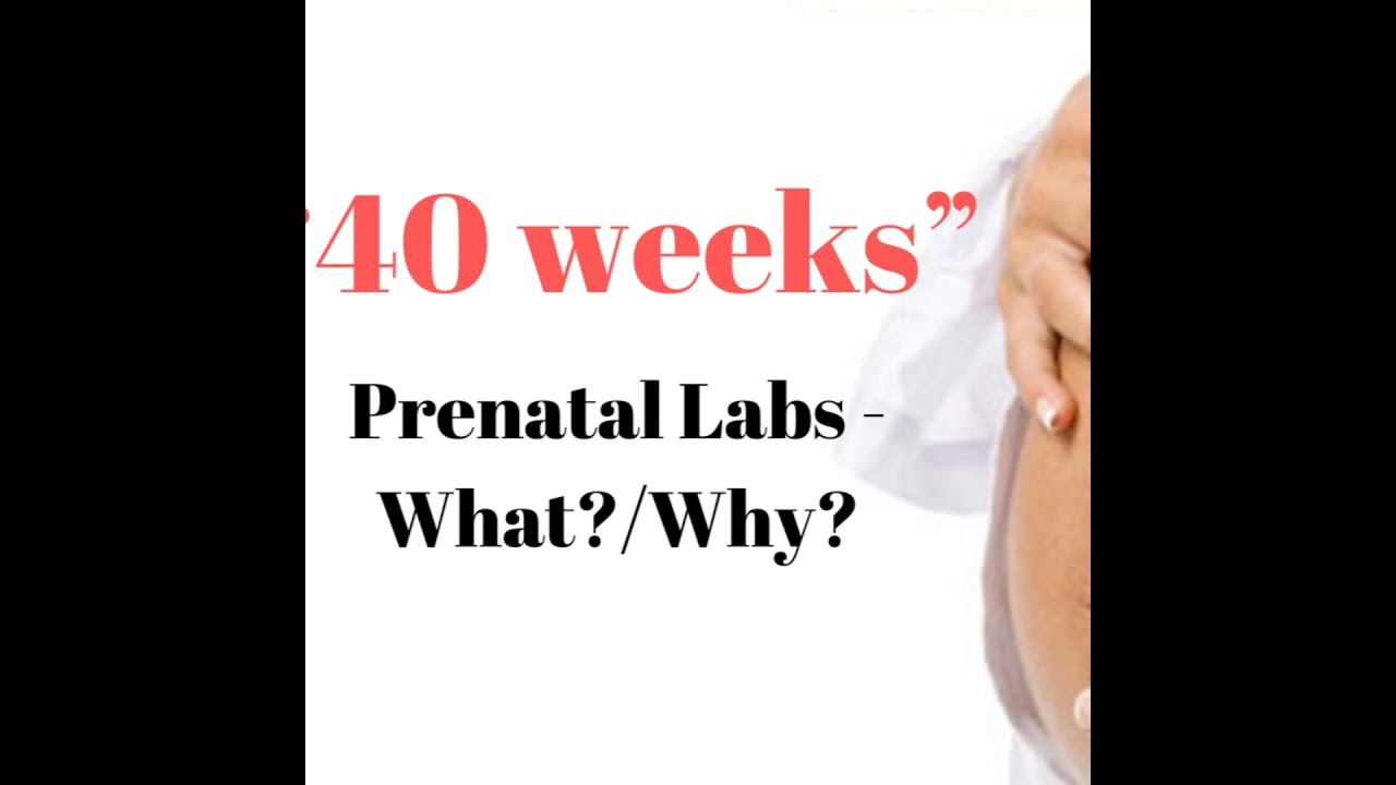 40 Weeks - Prenatal labs