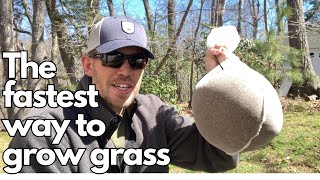 How to Pre-germinate Grass Seed | A Complete Guide
