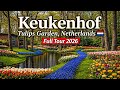 Keukenhof 2026 🌷 🇳🇱The Most Beautiful Flower Garden in the World (Full Tour)