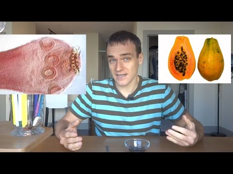 papaya-seed-parasite-cleanse-(verified-by-science)