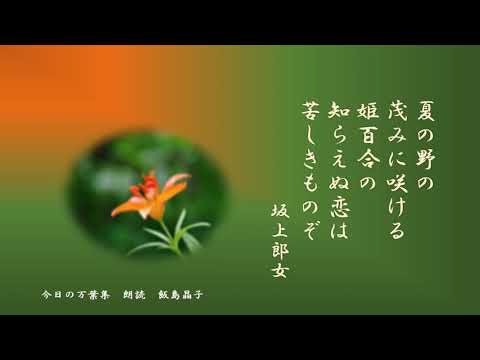 【今日の万葉集】５月２８日　知らえぬ恋という言葉の響きに　惹かれました。「夏の野の茂みに咲ける姫百合の知らえぬ恋はくるしきものぞ」坂上郎女