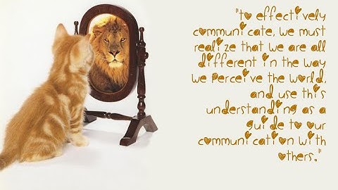 Perception and Communication