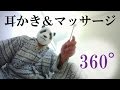 【360度動画】パンダマンの耳かき＆マッサージ