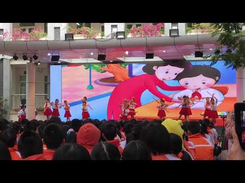 Video Chuyên đề 