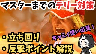 キャミィ側から見たテリー対策｜バーンナックルの置き、クイックバーンの中段、パワードライブ後の読み合い