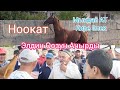 Жылкы Базар Укмуш Кызыды Пай Пай Пай 01.08.21