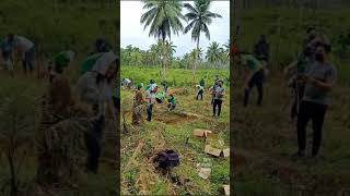 Tree planting activity in this month of creation (September).