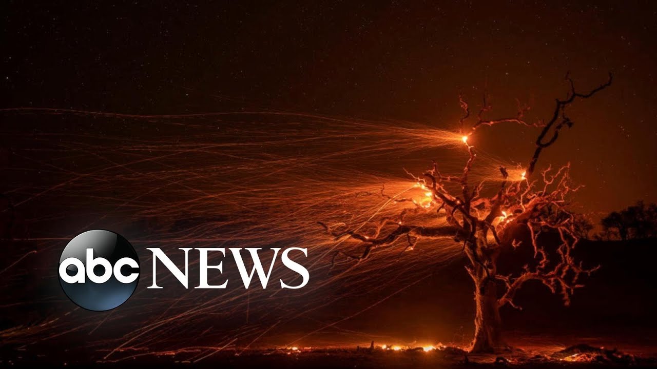 Ember-filled trees, World Series, Boeing’s chief testifies: World in Photos, Oct. 30