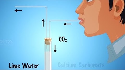 Role of Carbon dioxide During Respiration - MeitY OLabs