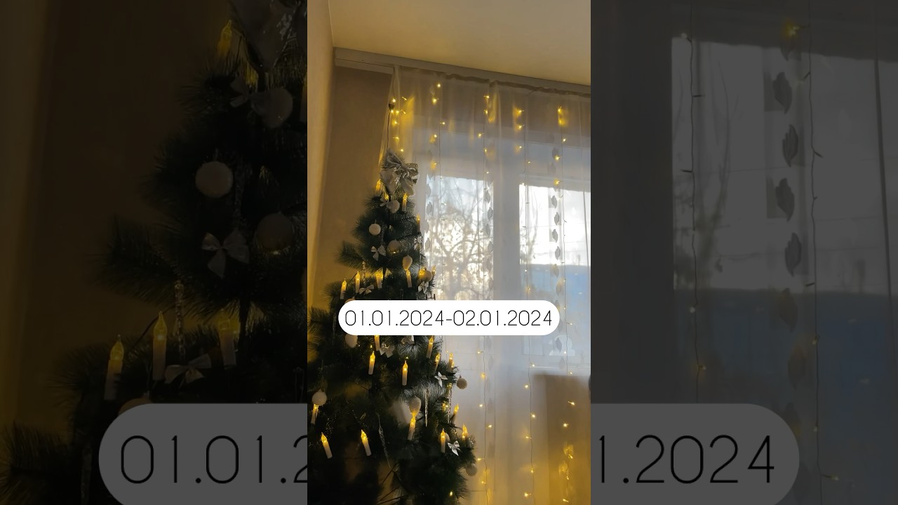 Как я встретила Новый год 🎄 