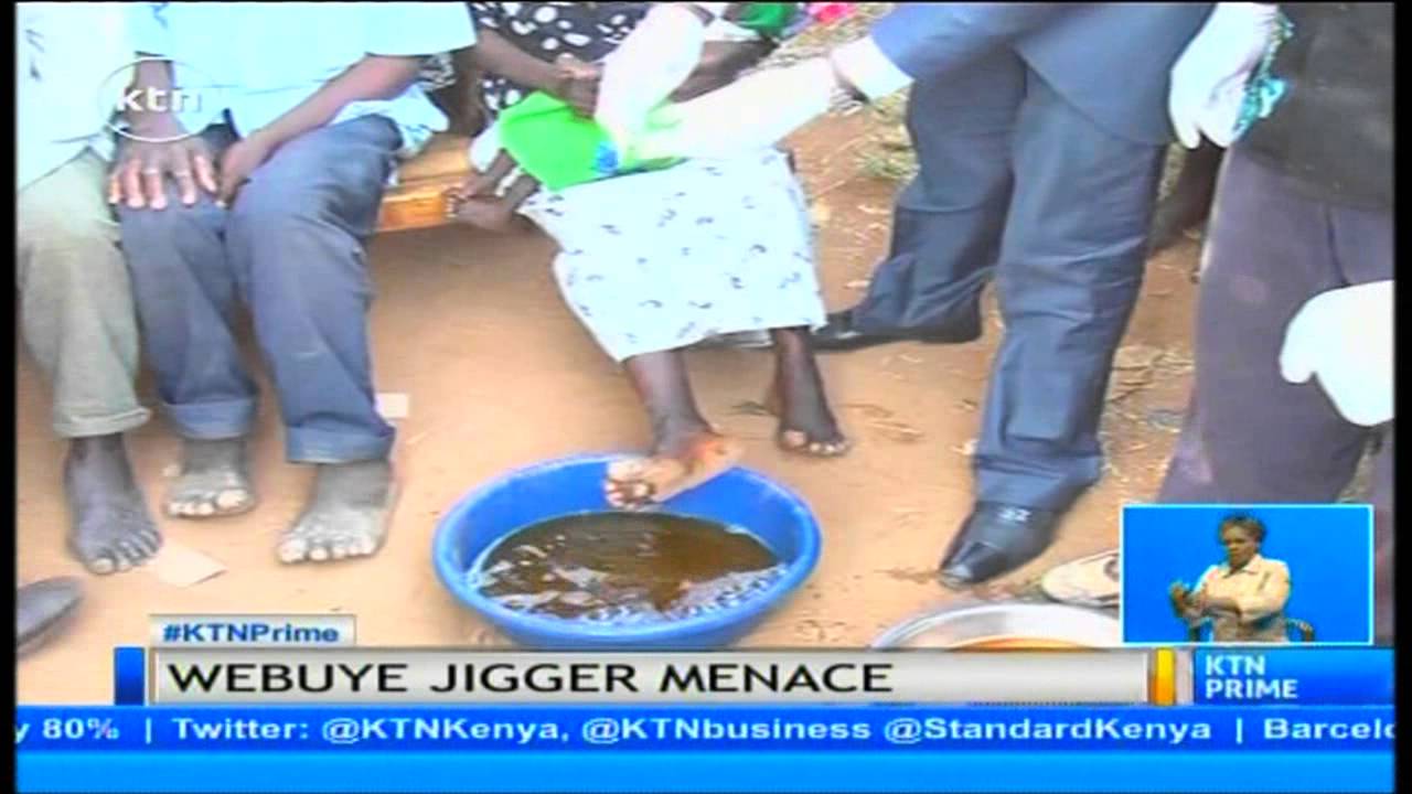 Jigger pandemic paralyse learning in schools in uye west