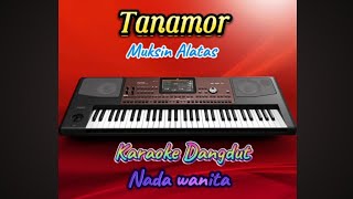 Tanamor Muchsin Alatas.Karaoke Dangdut Nada Wanita#karaoke #beranda By: Ndang GT Chanel