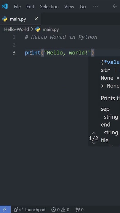Python Basics: Your FIRST Program in Under a Minute! 🚀 - YouTube